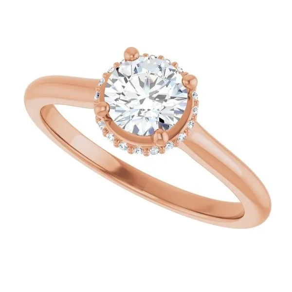 Hidden Halo-Style Engagement Ring Image 5 JF Jones Jewelers Rochester, NY