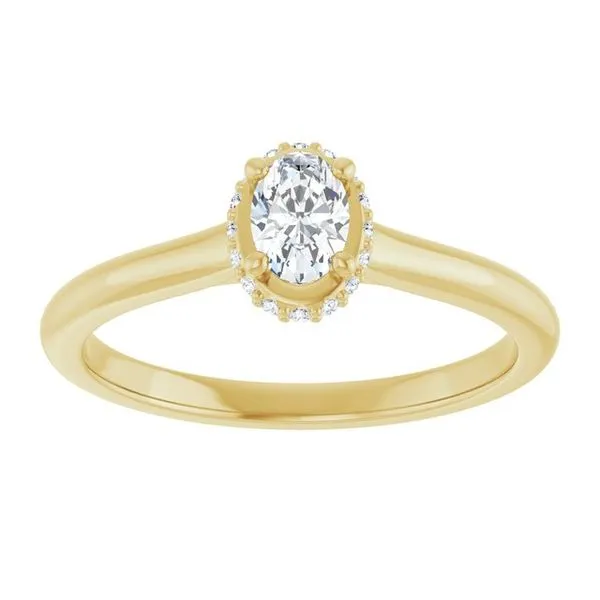 Hidden Halo-Style Engagement Ring Image 3 Futer Bros Jewelers York, PA