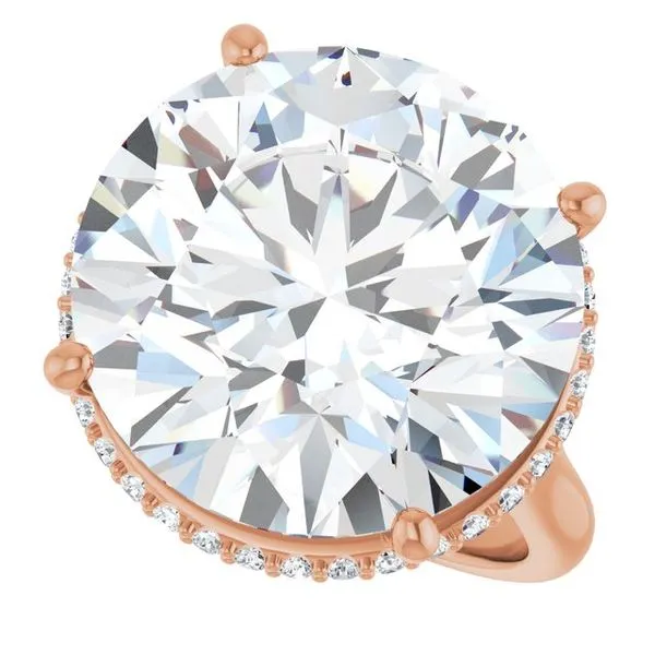 Hidden Halo-Style Engagement Ring Image 5 House of Silva Wooster, OH