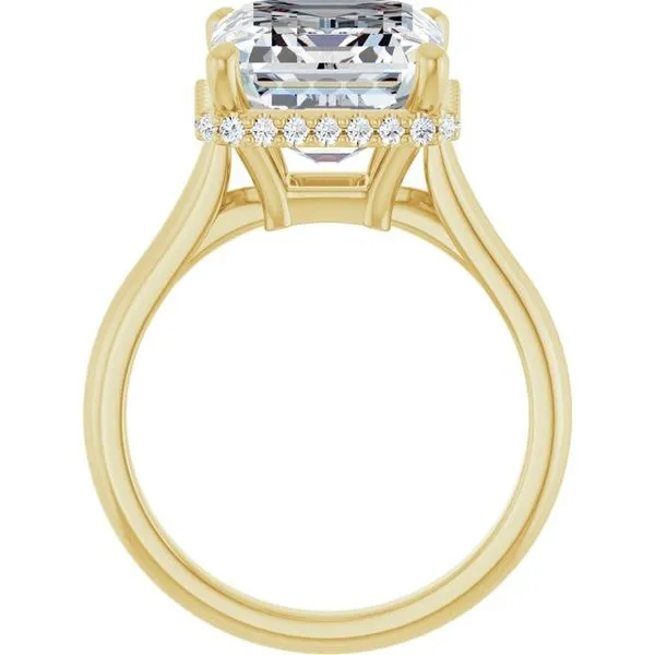 Hidden Halo-Style Engagement Ring Image 2 Clater Jewelers Louisville, KY