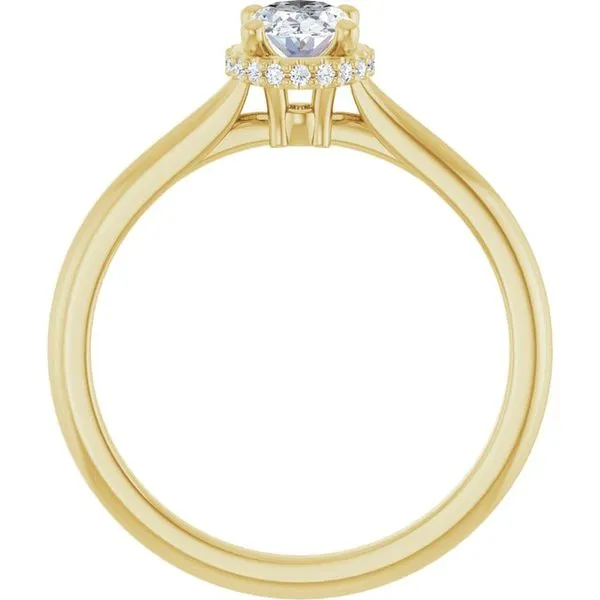 Hidden Halo-Style Engagement Ring Image 2 Ocean View Jewelers Millville, DE