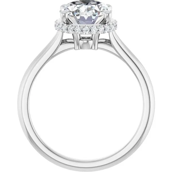 Hidden Halo-Style Engagement Ring Image 2 JF Jones Jewelers Rochester, NY