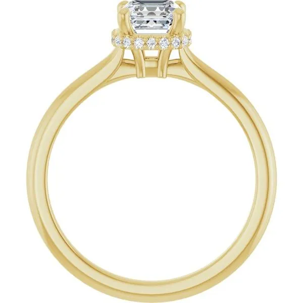Hidden Halo-Style Engagement Ring Image 2 JF Jones Jewelers Rochester, NY