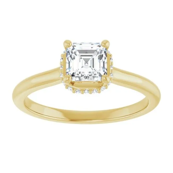 Hidden Halo-Style Engagement Ring Image 3 Don's Jewelry & Design Washington, IA