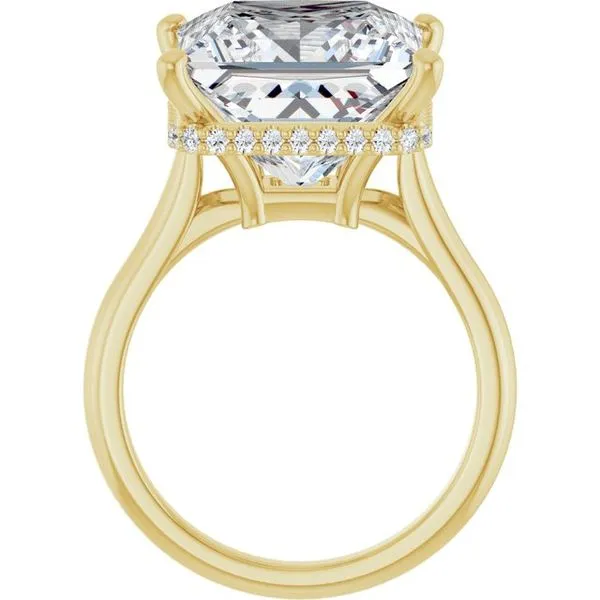 Hidden Halo-Style Engagement Ring Image 2 Morin Jewelers Southbridge, MA