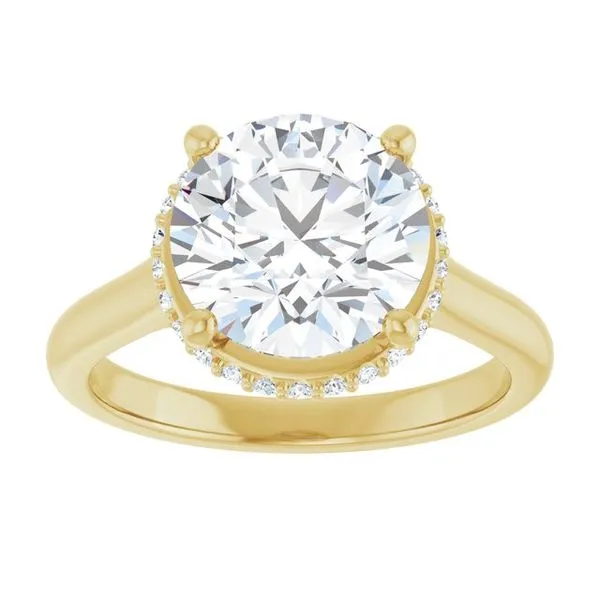 Hidden Halo-Style Engagement Ring Image 3 Don's Jewelry & Design Washington, IA