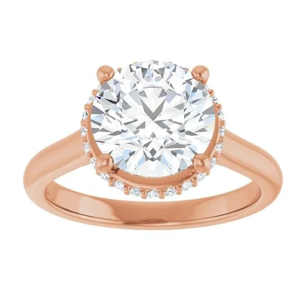 Hidden Halo-Style Engagement Ring Image 3 JF Jones Jewelers Rochester, NY