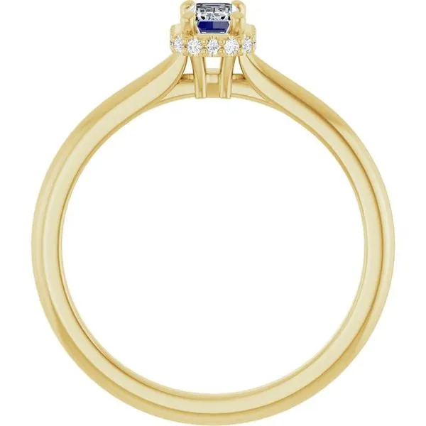 Hidden Halo-Style Engagement Ring Image 2 Witt's Jewelry Wayne, NE