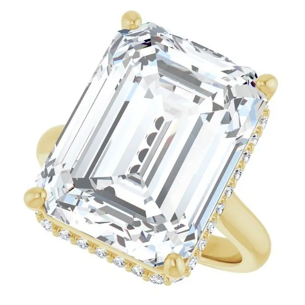 Hidden Halo-Style Engagement Ring Image 5 Futer Bros Jewelers York, PA