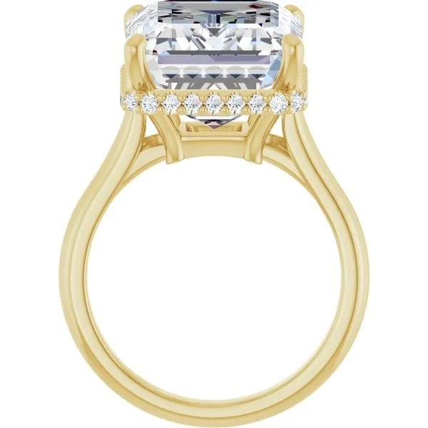 Hidden Halo-Style Engagement Ring Image 2 Don's Jewelry & Design Washington, IA