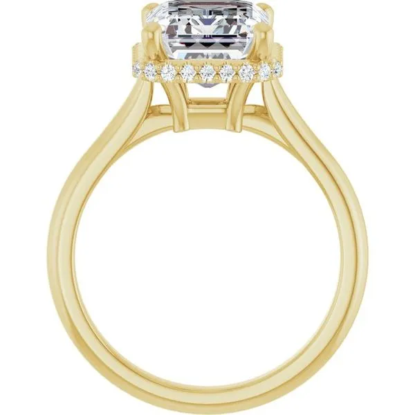 Hidden Halo-Style Engagement Ring Image 2 JF Jones Jewelers Rochester, NY