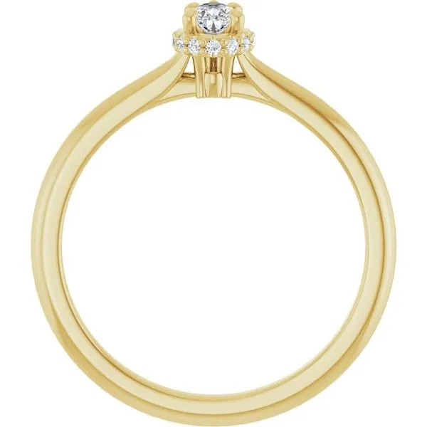 Hidden Halo-Style Engagement Ring Image 2 Ocean View Jewelers Millville, DE