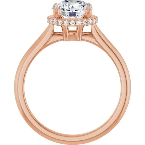 Hidden Halo-Style Engagement Ring Image 2 Don's Jewelry & Design Washington, IA