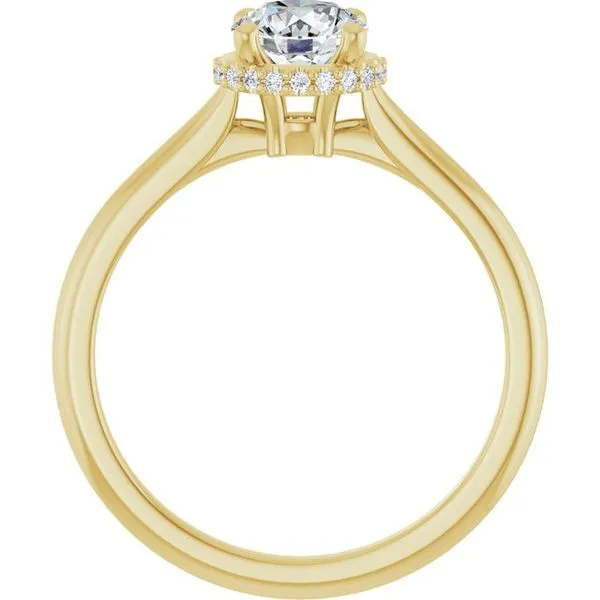 Hidden Halo-Style Engagement Ring Image 2 JF Jones Jewelers Rochester, NY