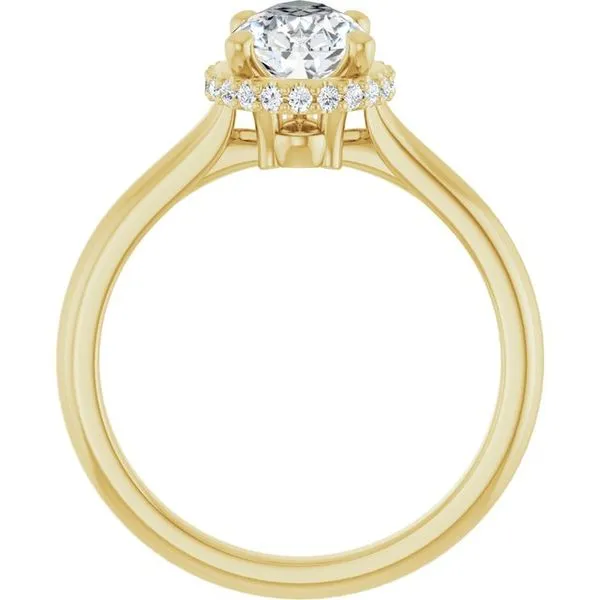 Hidden Halo-Style Engagement Ring Image 2 Shipley's Fine Jewelry Hampstead, MD