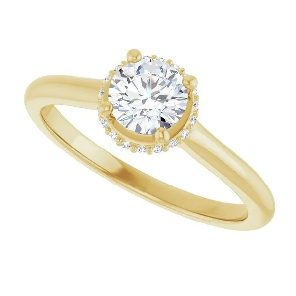 Hidden Halo-Style Engagement Ring Image 5 JF Jones Jewelers Rochester, NY