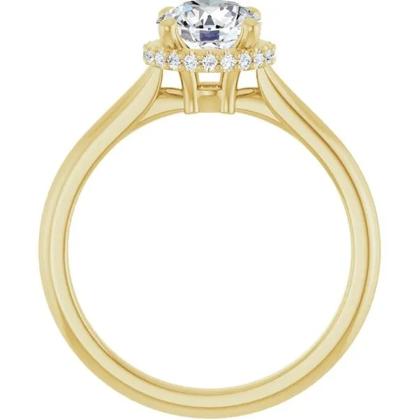 Hidden Halo-Style Engagement Ring Image 2 Don's Jewelry & Design Washington, IA