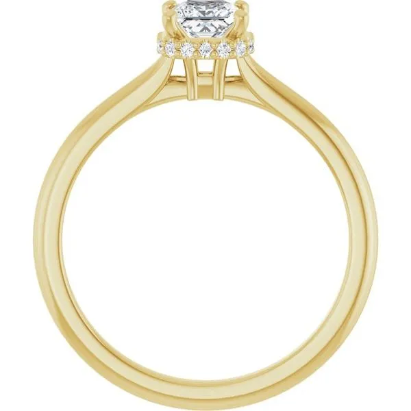 Hidden Halo-Style Engagement Ring Image 2 Don's Jewelry & Design Washington, IA