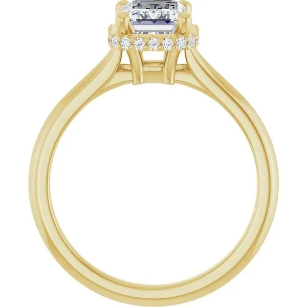 Hidden Halo-Style Engagement Ring Image 2 Don's Jewelry & Design Washington, IA