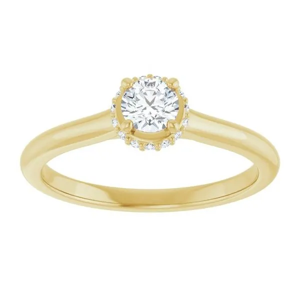 Hidden Halo-Style Engagement Ring Image 3 Futer Bros Jewelers York, PA