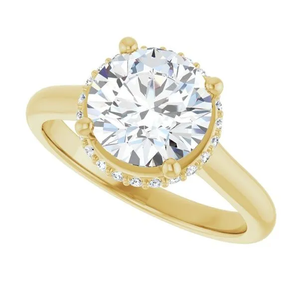 Hidden Halo-Style Engagement Ring Image 5 JF Jones Jewelers Rochester, NY