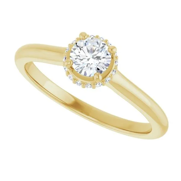Hidden Halo-Style Engagement Ring Image 5 J. Thomas Jewelers Rochester Hills, MI