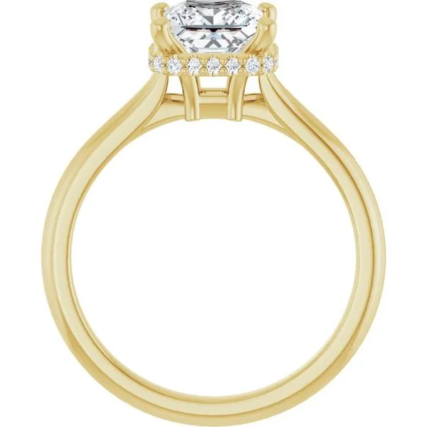 Hidden Halo-Style Engagement Ring Image 2 Morin Jewelers Southbridge, MA