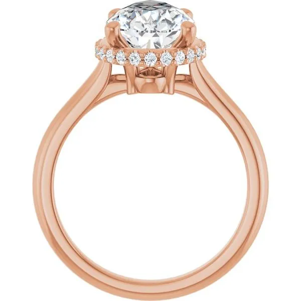 Hidden Halo-Style Engagement Ring Image 2 Don's Jewelry & Design Washington, IA