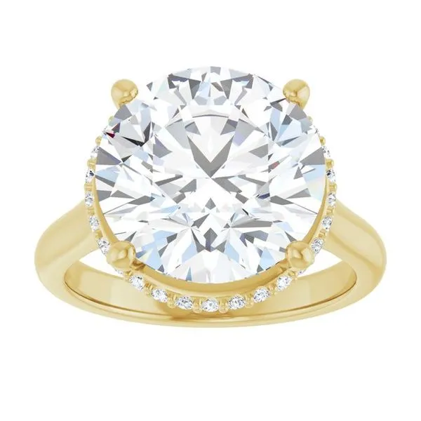 Hidden Halo-Style Engagement Ring Image 3 Don's Jewelry & Design Washington, IA