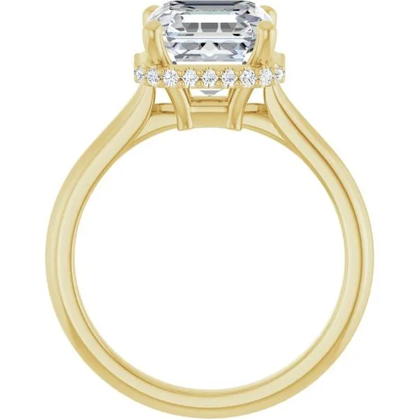 Hidden Halo-Style Engagement Ring Image 2 JF Jones Jewelers Rochester, NY