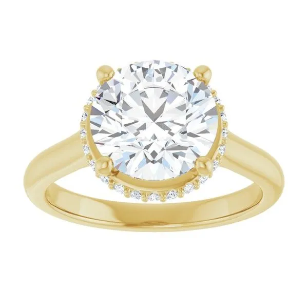 Hidden Halo-Style Engagement Ring Image 3 Don's Jewelry & Design Washington, IA