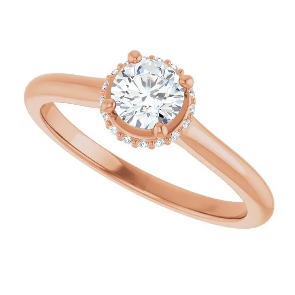 Hidden Halo-Style Engagement Ring Image 5 Hudson Valley Goldsmith New Paltz, NY