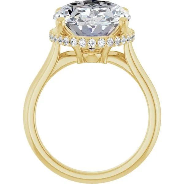 Hidden Halo-Style Engagement Ring Image 2 J. Thomas Jewelers Rochester Hills, MI