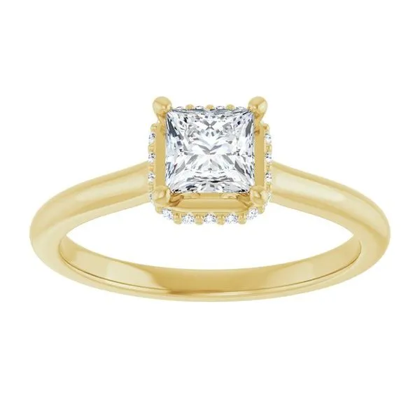 Hidden Halo-Style Engagement Ring Image 3 Don's Jewelry & Design Washington, IA