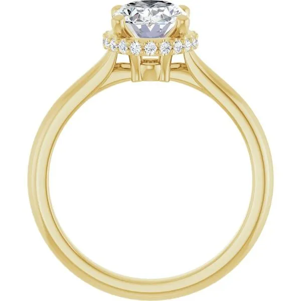 Hidden Halo-Style Engagement Ring Image 2 J. Thomas Jewelers Rochester Hills, MI