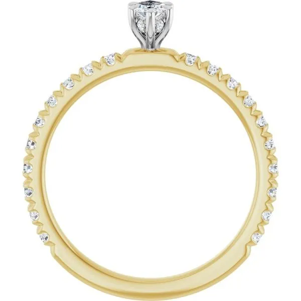 Claw-Prong Hidden Halo-Style Engagement Ring Image 2 Don's Jewelry & Design Washington, IA