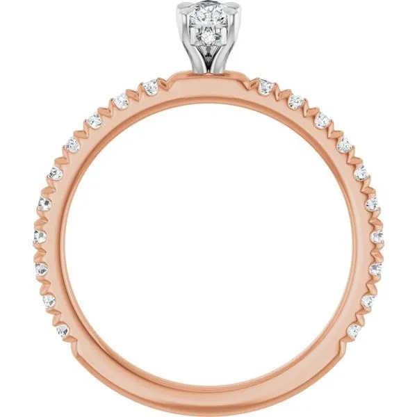 Claw-Prong Hidden Halo-Style Engagement Ring Image 2 Futer Bros Jewelers York, PA