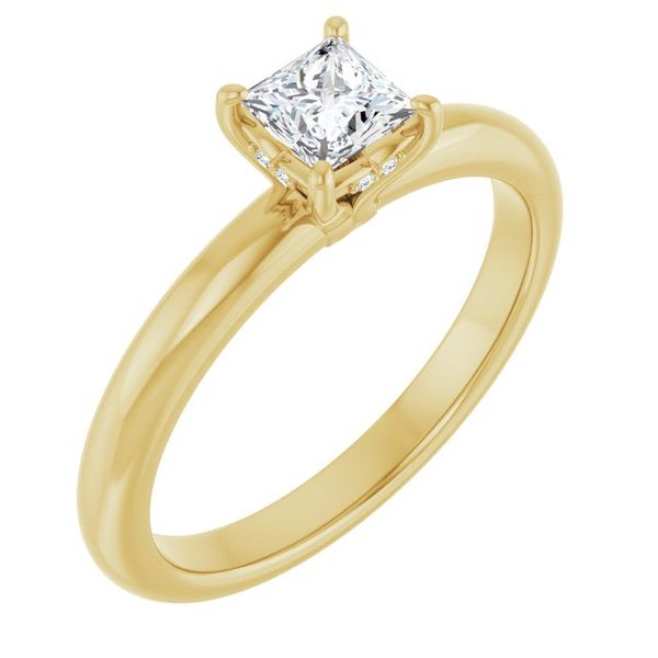 Hidden Halo-Style Engagement Ring