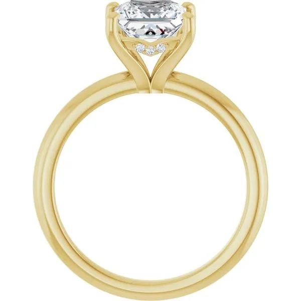 Hidden Halo-Style Engagement Ring Image 2 Raleigh Diamond Fine Jewelry Raleigh, NC