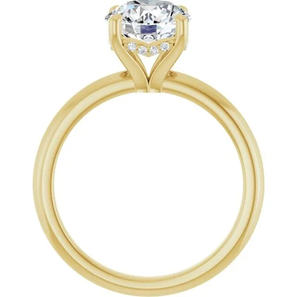 Hidden Halo-Style Engagement Ring Image 2 Raleigh Diamond Fine Jewelry Raleigh, NC