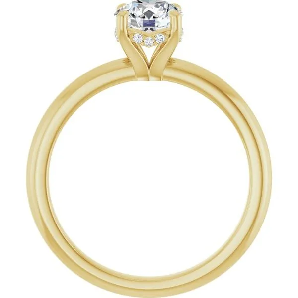 Hidden Halo-Style Engagement Ring Image 2 Raleigh Diamond Fine Jewelry Raleigh, NC