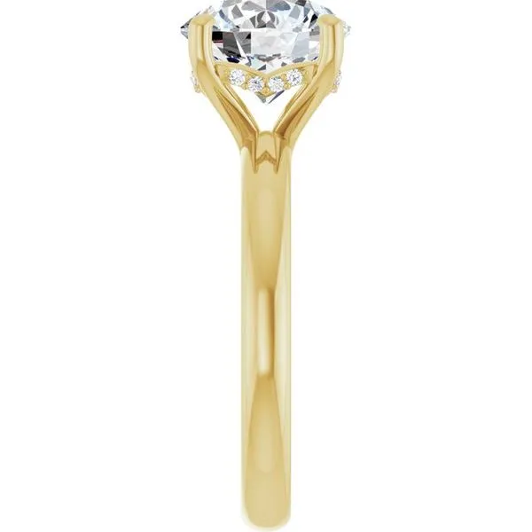 Hidden Halo-Style Engagement Ring Image 4 Raleigh Diamond Fine Jewelry Raleigh, NC