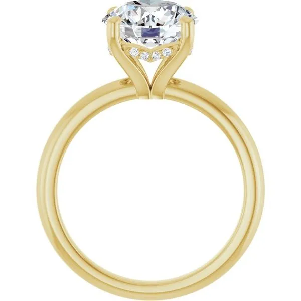 Hidden Halo-Style Engagement Ring Image 2 Raleigh Diamond Fine Jewelry Raleigh, NC