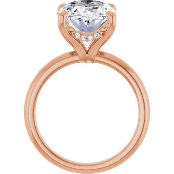 Hidden Halo-Style Engagement Ring Image 2 Raleigh Diamond Fine Jewelry Raleigh, NC