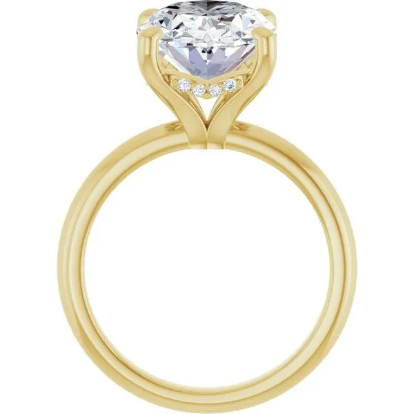 Hidden Halo-Style Engagement Ring Image 2 Raleigh Diamond Fine Jewelry Raleigh, NC