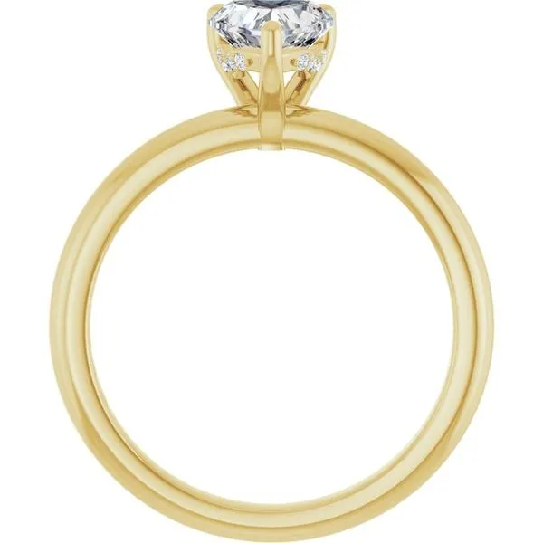 Hidden Halo-Style Engagement Ring Image 2 Raleigh Diamond Fine Jewelry Raleigh, NC