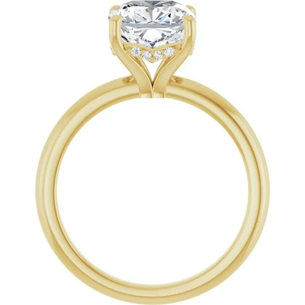 Hidden Halo-Style Engagement Ring Image 2 Raleigh Diamond Fine Jewelry Raleigh, NC