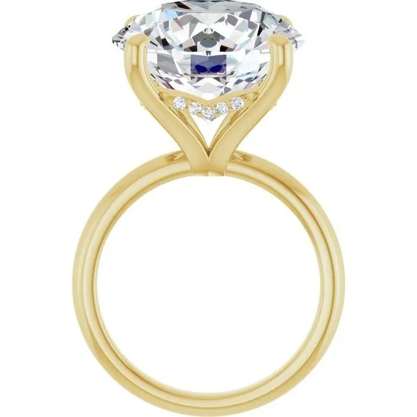 Hidden Halo-Style Engagement Ring Image 2 Raleigh Diamond Fine Jewelry Raleigh, NC