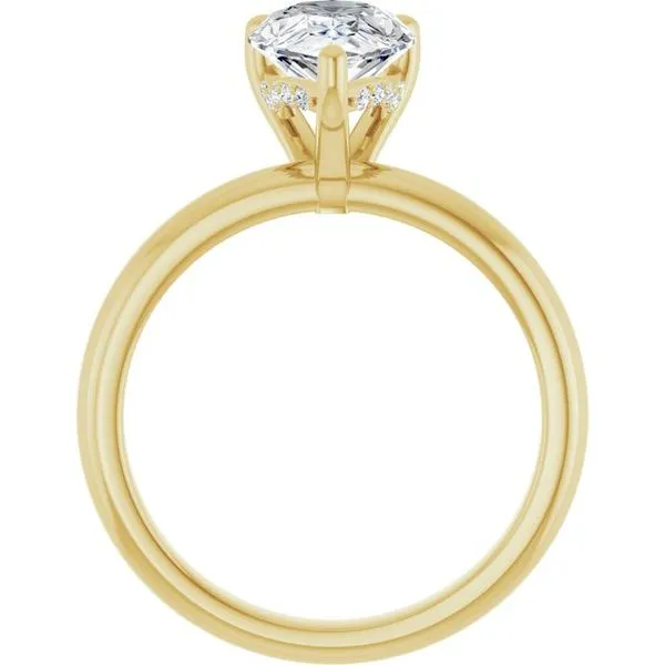 Hidden Halo-Style Engagement Ring Image 2 Raleigh Diamond Fine Jewelry Raleigh, NC