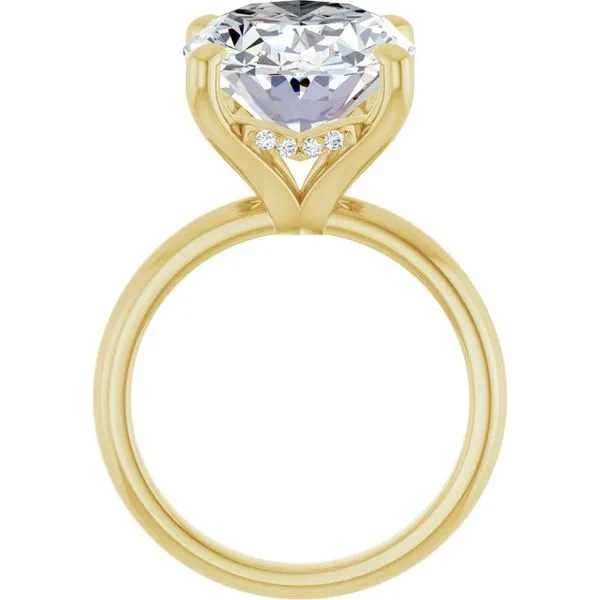 Hidden Halo-Style Engagement Ring Image 2 Raleigh Diamond Fine Jewelry Raleigh, NC